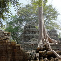 DSC04280